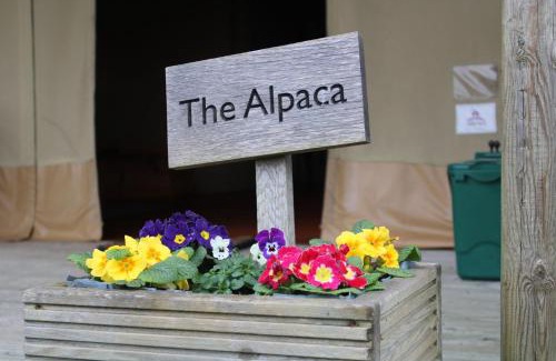 Olney House | Pet-Friendly Haven at The Alpaca - Rated 9/10 by Guests