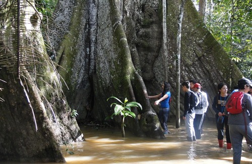 Leticia House | Experience the Amazon Floating Hotel Like Never Before