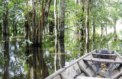 Leticia House | Experience the Amazon Floating Hotel Like Never Before