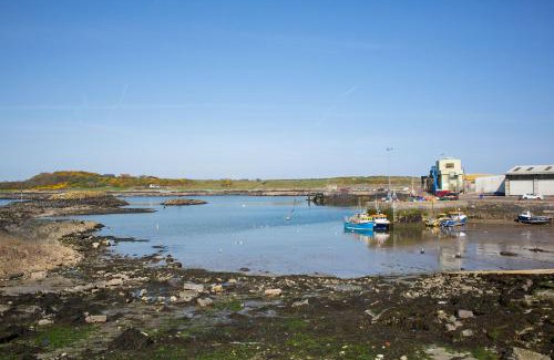 Ardglass Apartment | Discover Family-Friendly Comfort at The Anchor Apartments