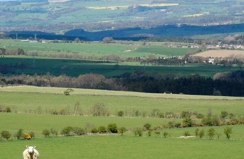 Whittonstall Hotel | The Anchor Inn: Pet-Friendly Stay with Breakfast Included