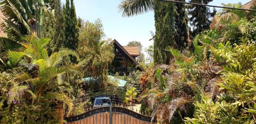 Nairobi Ski Chalet | Cozy Chalets in Nairobi with Delicious Breakfast Included