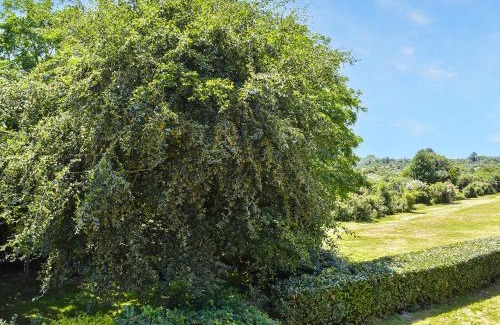 New Forest District House | Pet-Friendly Haven at The Annexe The Roost - Rated 9.5/10