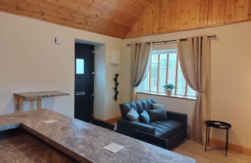 Tarmonbarry Apartment | The Apartment