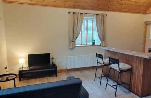 Tarmonbarry Apartment | The Apartment