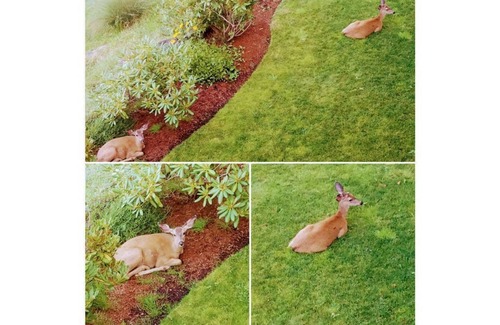 Central Oregon Apartment | Guest Rated 10/10: The Apartment Suite at City Nature Preserve