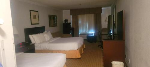 Fort Smith Hotel | Discover The Arc Hotel: Pet-Friendly Oasis with Pool