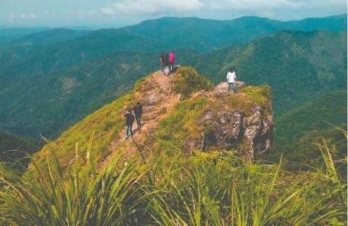 Idukki Apartment | Pet-Friendly Haven at The Ark - Perfect for Families