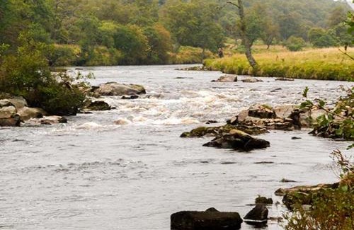 Forsinard House | Child-Friendly Retreat at The Auld Kirk - 4-Star Haven