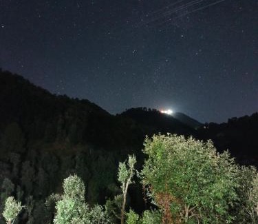 Shimla House | Guest Rated 10/10: The Baan Homes - Pet & Child Friendly!