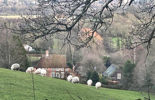 Dorking Villa | The Barn at Logmore Farm