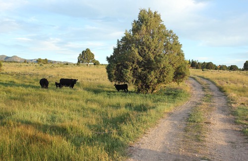 Hatch Apartment | Relax at The Barn Studio on Sevier River Ranch - Rated 9.8