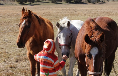 Hatch Apartment | Relax at The Barn Studio on Sevier River Ranch - Rated 9.8