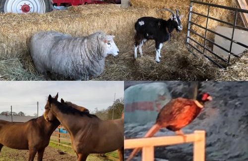Cottingham Apartment | Cozy Stay at The Barn: Pet Friendly 2-Bedroom Retreat