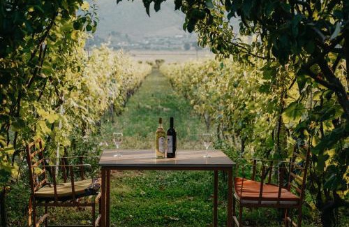 Gjirokaster Hotel | Exceptional Stay at The Barrels Ms with Family-Friendly Amenities