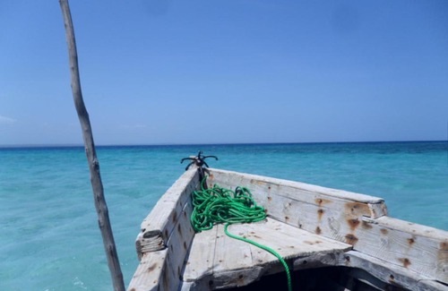 Pangani Hotel | Beach Crab Resort: Pet-Friendly Oceanfront Retreat