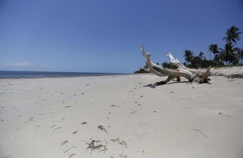 Pangani Hotel | Beach Crab Resort: Pet-Friendly Oceanfront Retreat