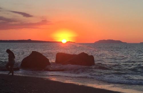 Spadafora Apartment | Beach House: Oceanfront Stay with Pet-Friendly Amenities