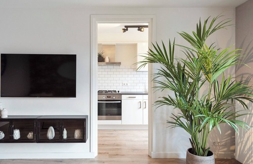Zandvoort Apartment | Beach and Dunes Apartment: Family-Friendly with Breakfast