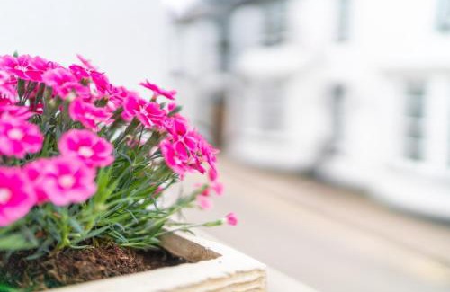 Usk Apartment | Discover The Bear: Family-Friendly Retreat with High Ratings