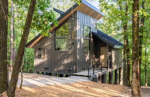 Hot Springs Cabin | Discover The Beaver Cabin: A Pet-Friendly Retreat