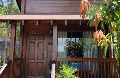 Yercaud Villa | Discover The Bedford House, Yercaud: Family-Friendly Stay