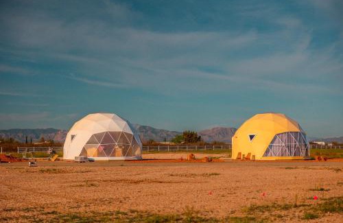 Willcox Other | Discover Family-Friendly Fun at The Beer Dome Hotel