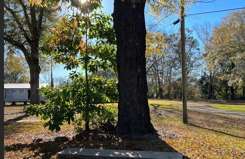 Selma RV Rental | Explore Buckaroo Jones RV Park: Family & Pet-Friendly Stay