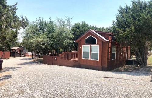 Austin House | Experience The Bison Cabin with Oceanfront Views