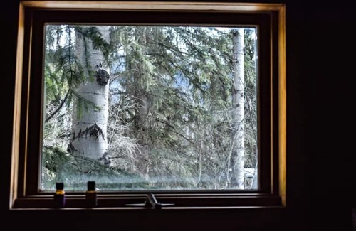 Blaeberry House | Experience The Blaeberry Base Vintage Camper with Outdoor Shower