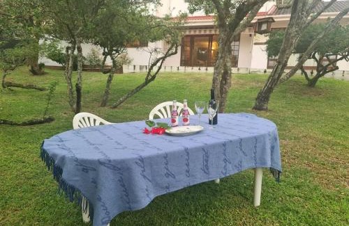 Kenton on Sea House | Experience Oceanfront Bliss at The Blue Duiker Hotel