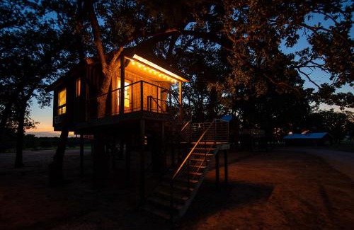 Elm Mott Other | Charming Blue Jay Treehouse: Minutes from Magnolia Baylor