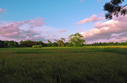 Nochchiyagama Resort | Discover Wilpattu Blue Sapphire Pro - All-Inclusive Family Stay