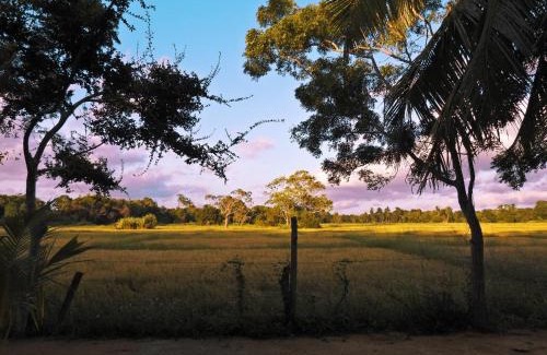 Nochchiyagama Resort | Discover Wilpattu Blue Sapphire Pro - All-Inclusive Family Stay