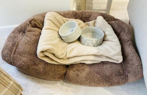 Porthmadog Apartment | Pet-Friendly Retreat at The Bluebell Porthmadog - 9.5/10