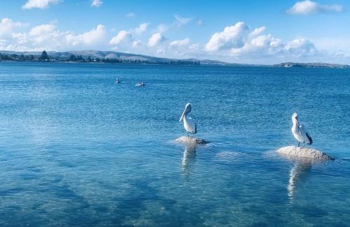 Encounter Bay Resort | Oceanfront Bliss at The Bluff Resort Apartments