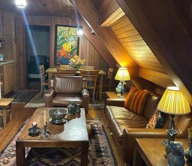 Vila Inglesa House | Experience The Braun House: Perfect for Pet and Child Travelers