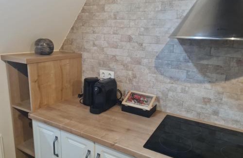 Bistrita Apartment | Discover The Bricks 1903 Lofts: Guest Rated 9.5/10