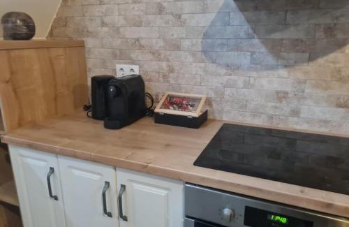 Bistrita Apartment | Discover The Bricks 1903 Lofts: Guest Rated 9.5/10