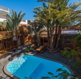 Dahab Hotel | Exceptional The Bridge Dahab: Poolside Bliss Awaits