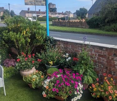 Broomhill Bed & Breakfast | Experience Tranquil Stays at The Bridges B&B with Ocean Views