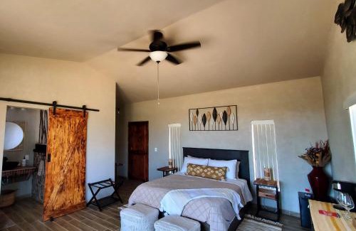 Valle de Guadalupe Hotel | Pet-Friendly Escape at The Bungalow @Terra Monarca