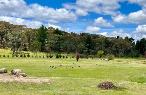 Mullion Creek House | Pet-Friendly Getaway at The Bunker, Orange - 9.2/10 Rating