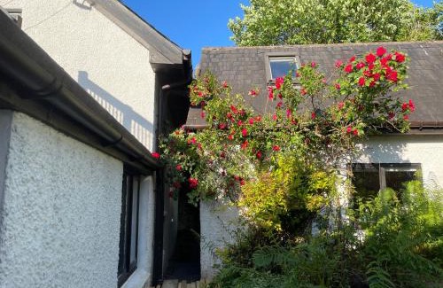 Glencoe Ski Chalet | Oceanfront Bliss at The Bunkie - Pet Friendly Retreat