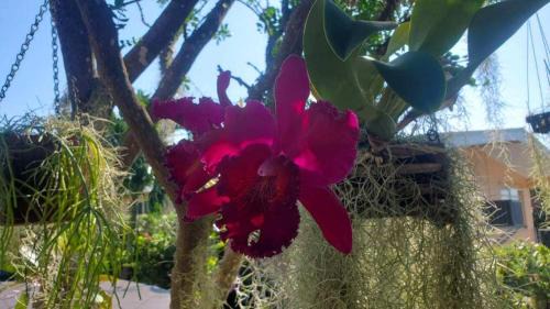 Marathon House | Tranquil Escape at The Butterfly Cottage with Ocean Views