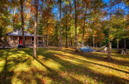 Jamestown Cabin | Experience The Cabin at Crockett Creek: 10/10 Guest Rated Retreat