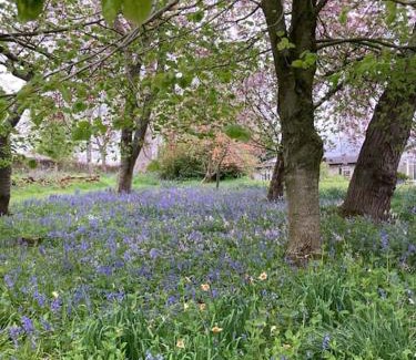 Lisburn House | Outstanding Family Retreat at The Cabin - Rated 9.9/10