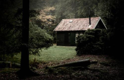 Tegucigalpa House | The Cabin in the Woods