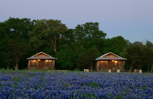 Georgetown Cabin | Discover The Cabins at Angel Springs - Family-Friendly Retreat