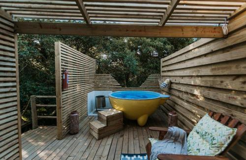 Storms River Other | Experience The Cacoon @ Misty Mountain Reserve with Ocean Views